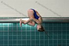 Diving vs Babson  Wheaton College Diving vs Babson College. - Photo By: KEITH NORDSTROM : Wheaton, Diving